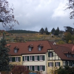 DSCF2667